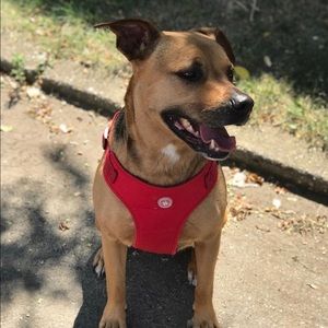 Meet your Posher, Angela